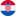 flag hr